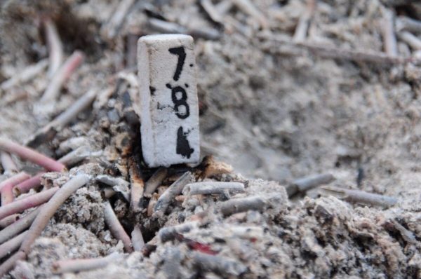 เลขเด็ดท้าวเวสสุวรรณ-leksanook