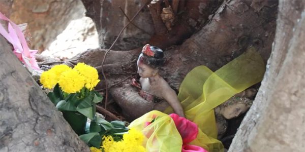 รูปปั้นหญิงสาวโผล่กลางโคนต้นโพธิ์