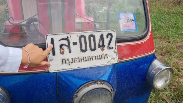 ฝันเห็นจระเข้เผือก ตัวใหญ่