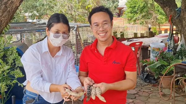 ส่องเลข จระเข้เผือก