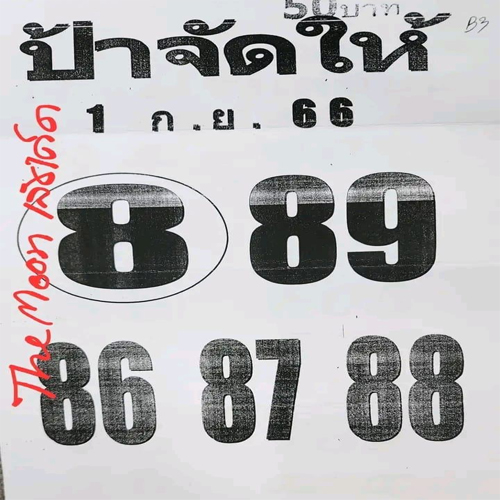 เลขป้าจัดให้