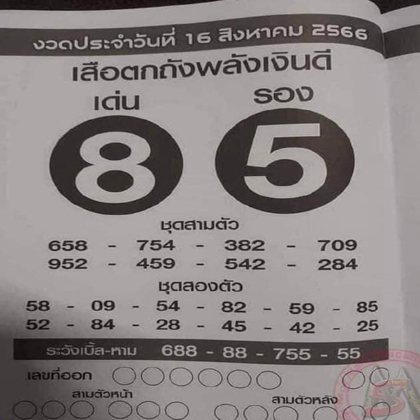 เสือตกถัง 16 สิงหาคม 2566 