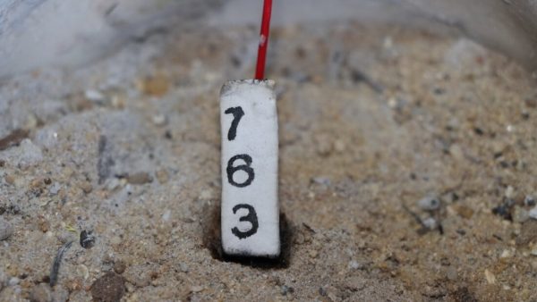 น้ำตาเทียนในอ่างน้ำมนต์