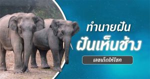ฝันเห็นช้าง