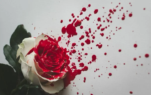 ฝันว่าเลือดออกจากตัวเยอะมาก