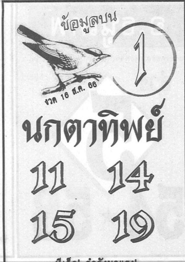 นกตาทิพย์ 16 8 66