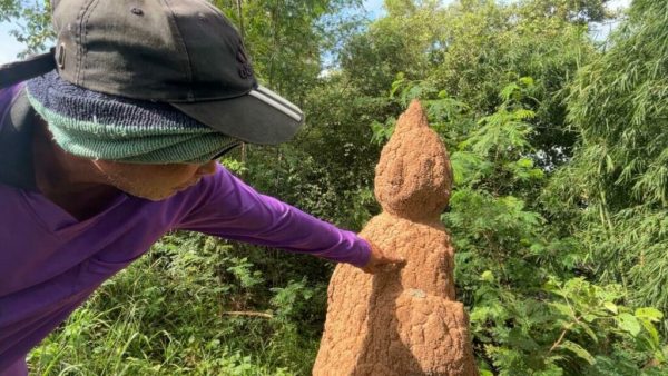 ธูปหัก ตี เป็น เลข อะไร - leksanook