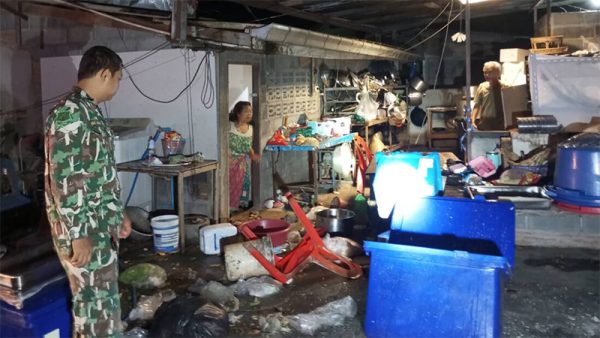 ช้างป่าบุกครัว - เลขสนุก.com