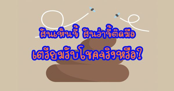 รวมฝันเห็นขี้