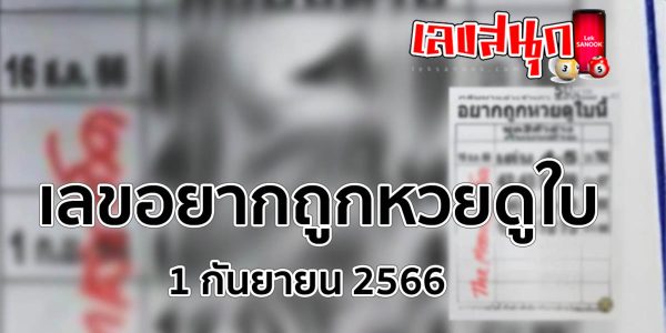  เลขอยากถูกหวยดูใบนี้1 9 66