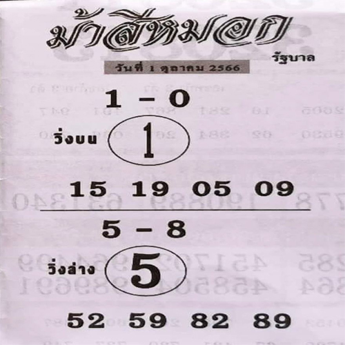 ม้าสีหมอก 1 10 66