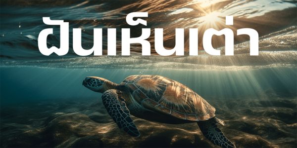 ฝันเห็นเต่า