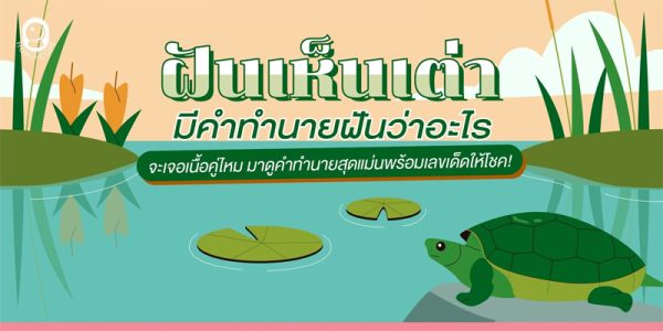 ฝันเห็นเต่า 2 ตัว