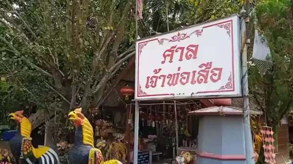 ขอหวยขอโชค ศาลเจ้าพ่อเสือ