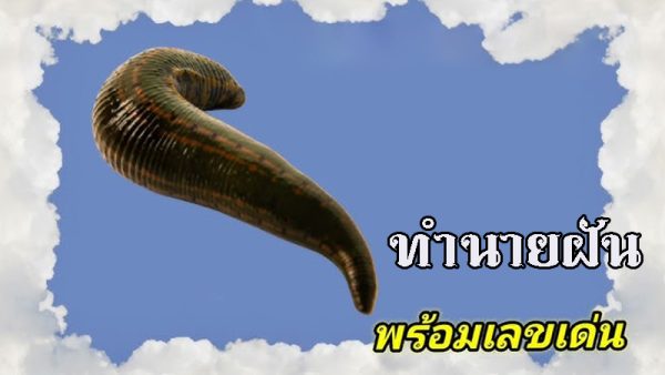 ทำนายฝัน เลขเด็ด