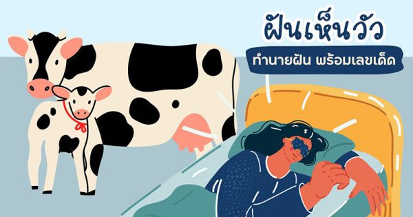 ฝันเห็นวัวหลายตัวในคอก