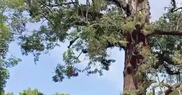เลขตะเคียนทอง
