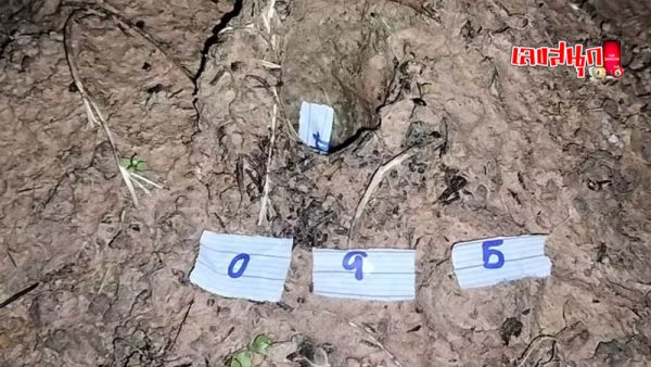 เลขเด็ดพญาบึ้ง