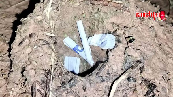  เลข พญา บึ้ง 1 4 66