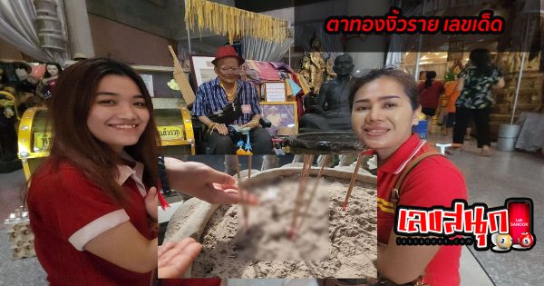 ตาทองงิ้วราย เลขเด็ด