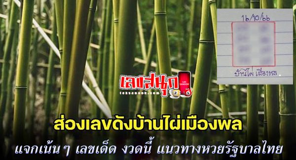 เลขไผ่เมืองพล 16 10 66
