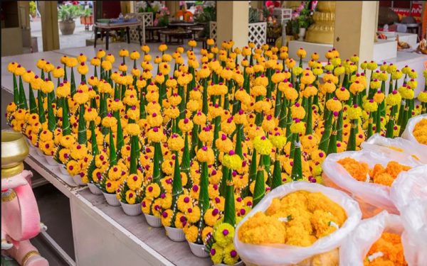 เลข หลวงพ่อกวย งวดนี้-leksanook.com