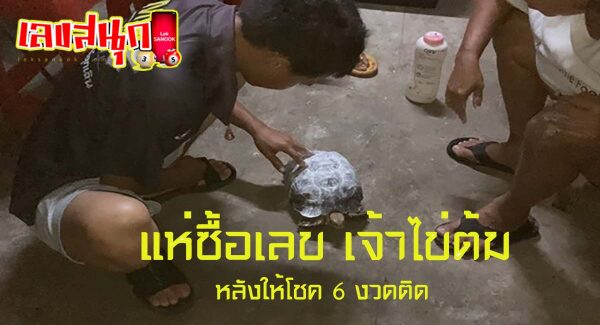 เจ้าไข่ต้มให้โชค