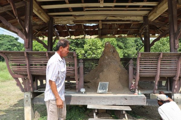 จอมปลวกคล้ายฤาษี - "An anthill resembling a hermit"