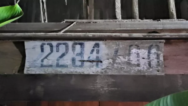 งูเหลือม กินแมว