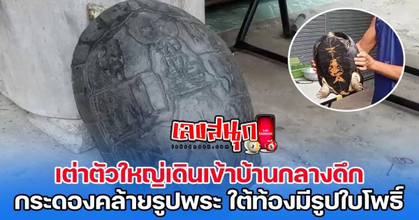 เต่าเดินเข้าบ้าน - "famous people's fun numbers"