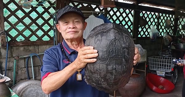 เต่าเดินเข้าบ้าน - "Turtle walks into the house"