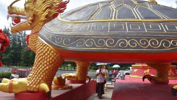 พญาเต่าหัวมังกร-leksanook