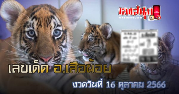 อ.เสือน้อย 16 10 66