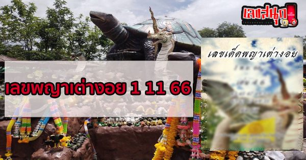 เลขพญาเต่างอย 1 11 66