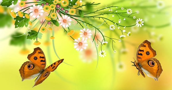 ฝันจับผีเสื้อหลายตัว-"Dream of catching many butterflies"