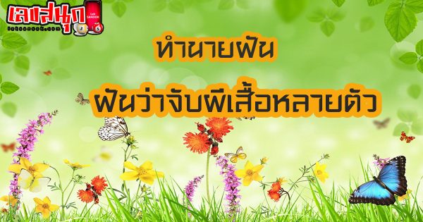 ฝันจับผีเสื้อหลายตัว-"Dream of catching many butterflies"