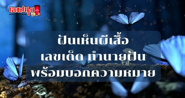 ฝันเห็นผีเสื้อบิน-"Dream of seeing a flying butterfly"