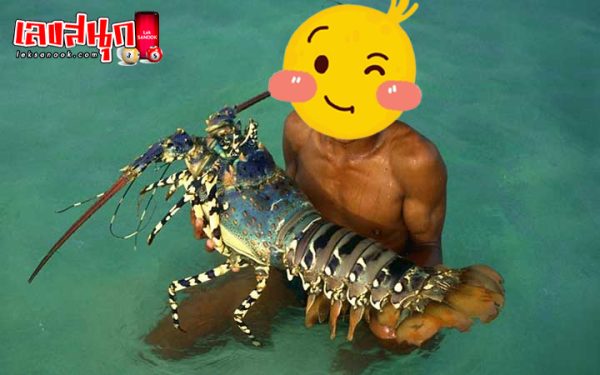 ฝันว่าจับกุ้งตัวใหญ่ด้วยมือเปล่า-"Dream of seeing shrimp, lucky number"