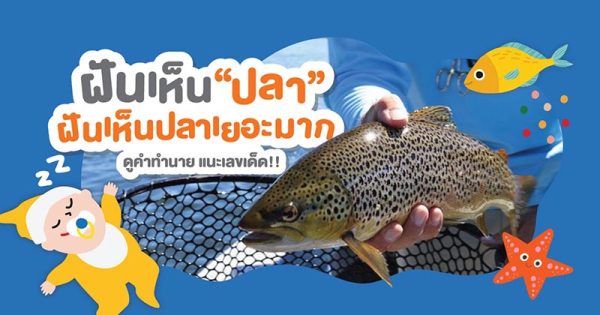 ฝันว่าได้จับปลาหลายตัว - "Dreamed of catching many fish."