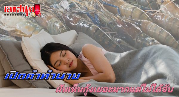 ฝันเห็นกุ้งเยอะมากแต่ไม่ได้จับ-"fun numbers beliefs"