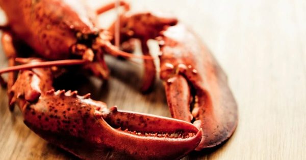 ฝันว่าจับกุ้งตัวใหญ่1ตัว - "Dreaming of catching a big shrimp, lucky number"