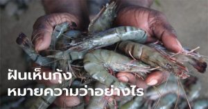 ฝันว่าได้จับกุ้ง เลขเด็ด -"Dreaming of catching shrimp"