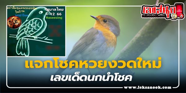 เลขนกนำโชค 1 12 66-"famous people's fun numbers"