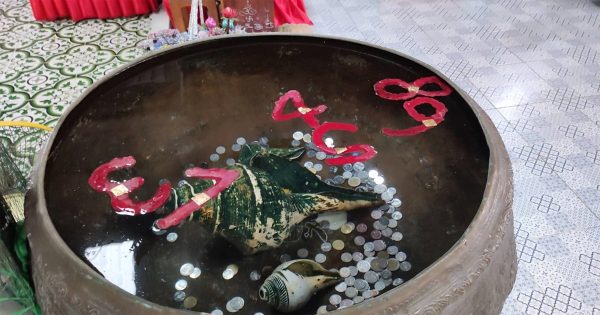 ส่อง อ่างน้ำมนต์ อาศรมฤาษีเณร-"Lucky numbers for the holy water basin"
