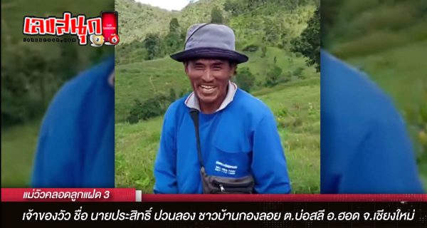 แม่วัวคลอดลูกแฝด3 - "Mother cow gives birth to 3 twins"