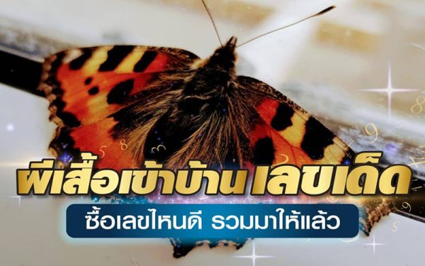 ฝันเห็นผีเสื้อเข้าบ้าน-"Seeing butterflies indream"