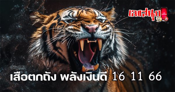เลขเสือตกถังพลังเงินดี 16 11 66-"famous people's fun numbers"