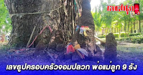 จอมปลวกพ่อแม่ลูก 9 รัง-"Anthill of 9 parents and children"