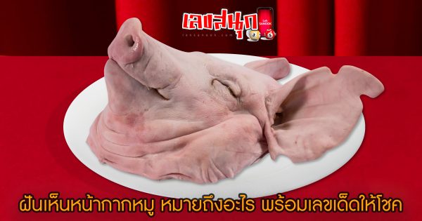 ฝันเห็นหน้ากากหมู - "fun numbers beliefs "