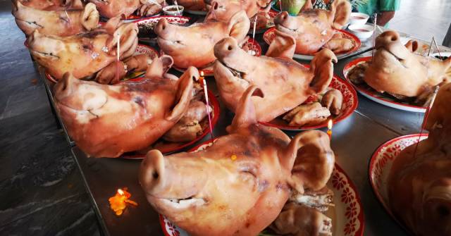 ฝันเห็นหัวหมูแก้บน - "Dream of seeing a pig's head make a vow"